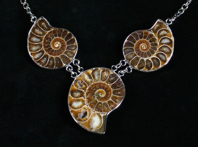 Triple Ammonite Necklace #4367